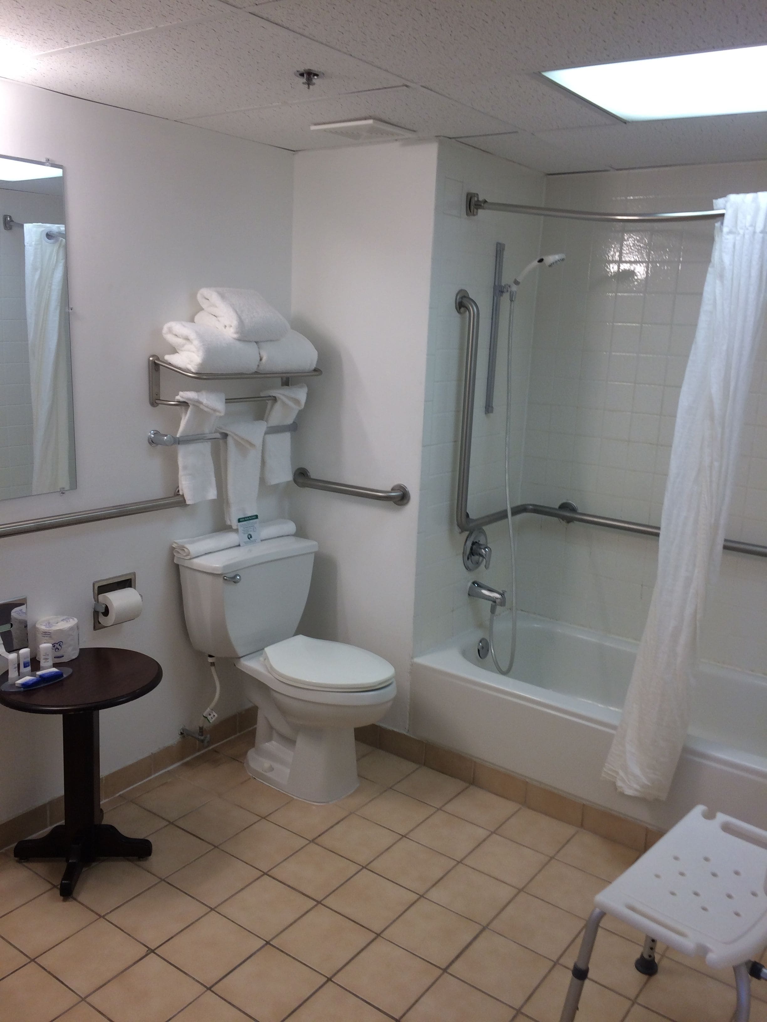 Un baño con inodoro, lavabo y ducha.