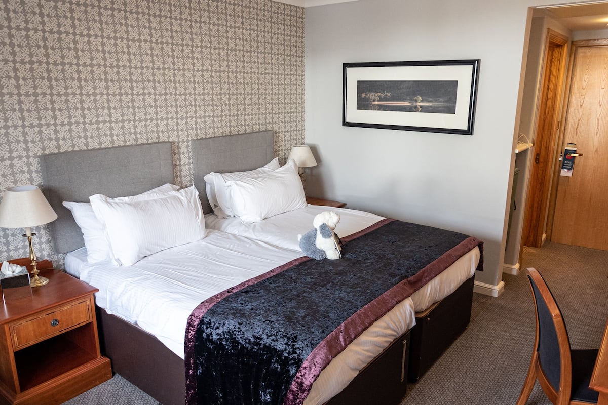 A neatly made bed with white linens, a dark blue velvet bedspread, and a plush teddy bear. There is a framed picture on the wall, a wooden nightstand with a lamp, and a wooden door in the background.