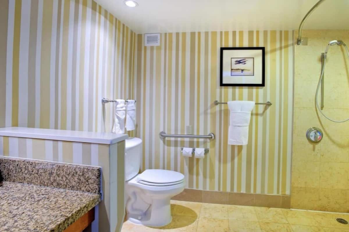 Bathroom | Combined shower/tub, eco-friendly toiletries, hair dryer, bathrobes