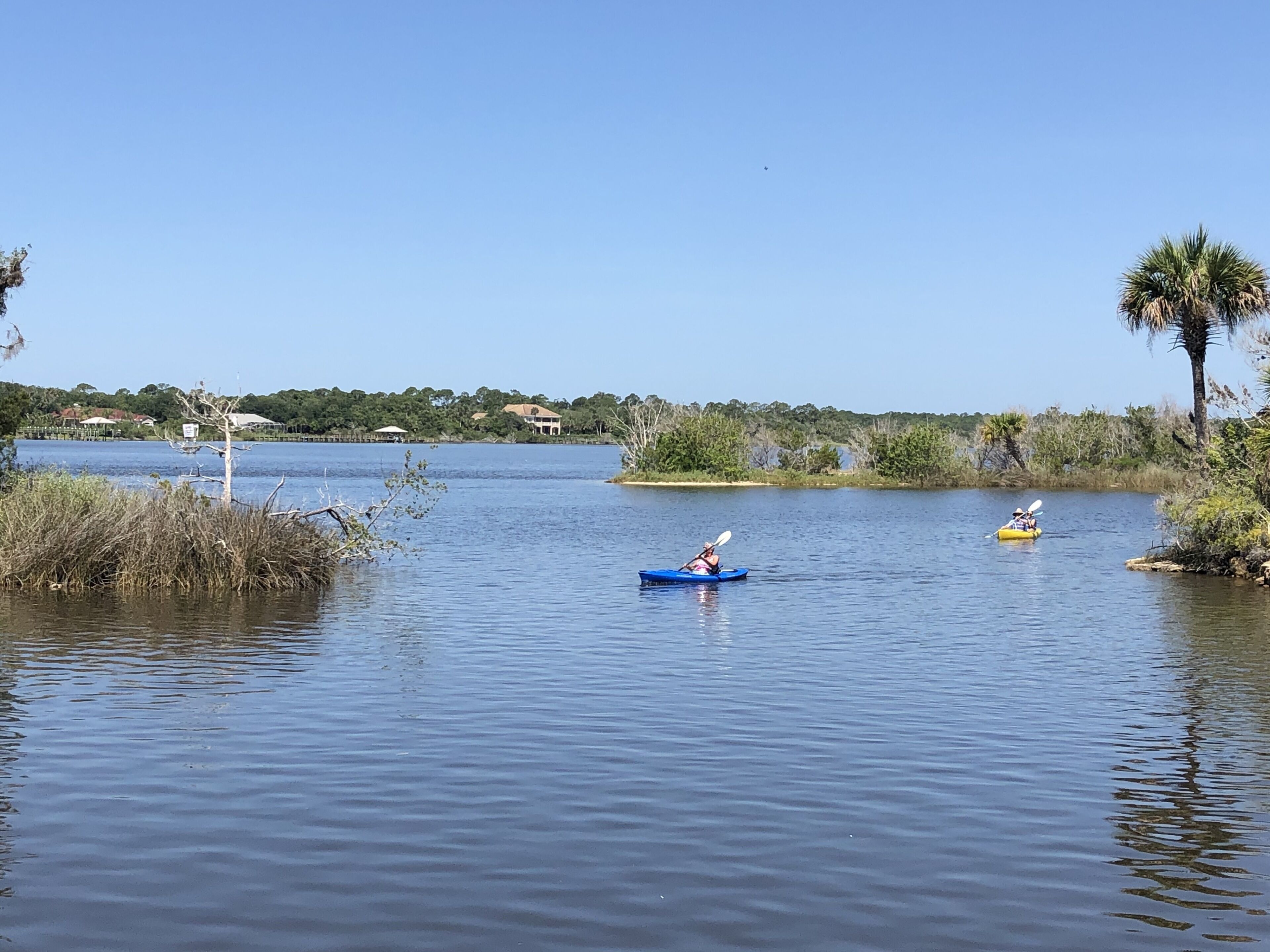 Paseos en kayak