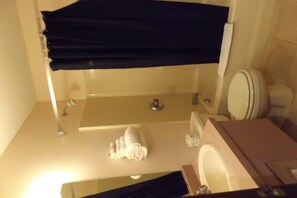 Combined shower/tub, free toiletries, hair dryer, towels