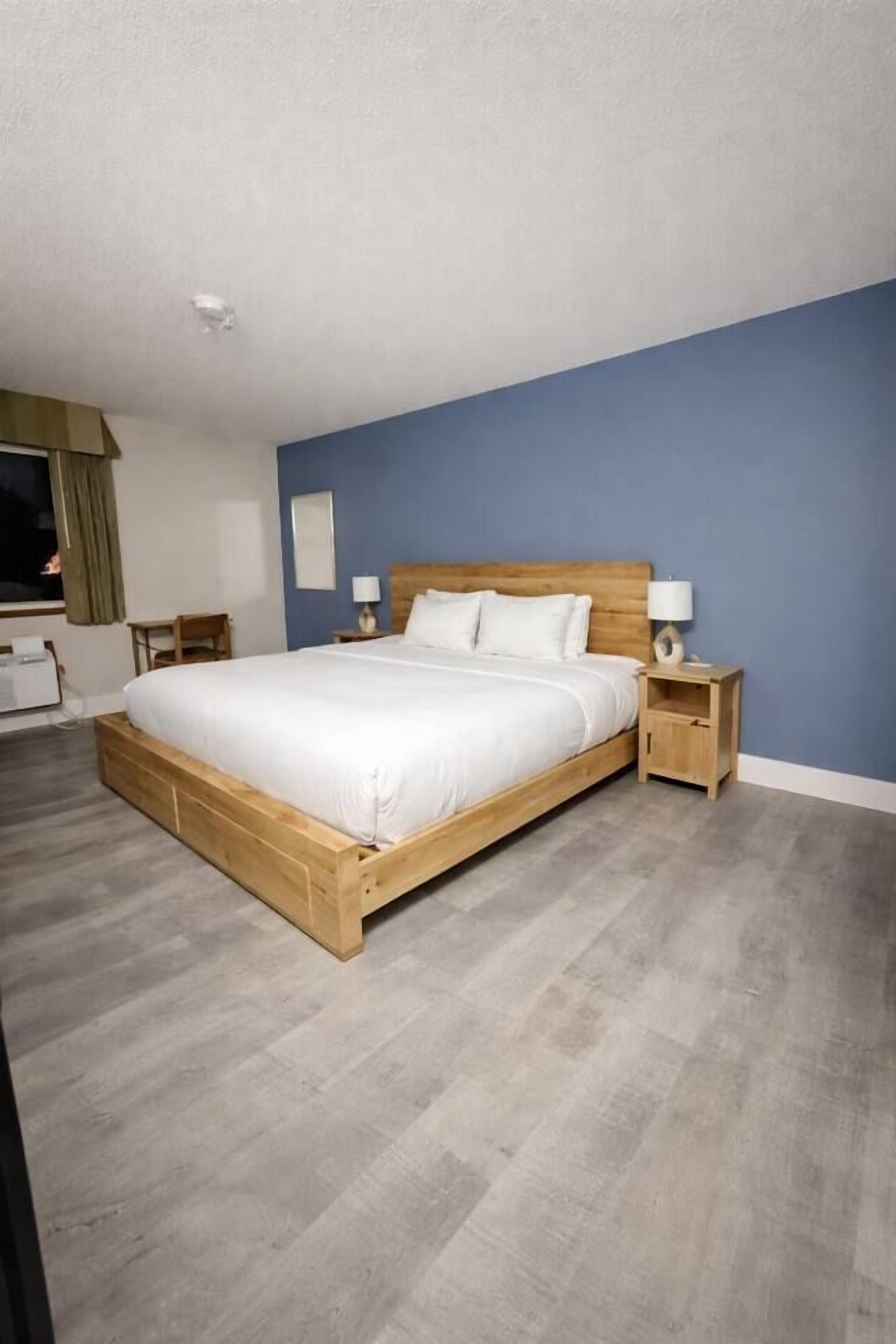 Gull Lake King with Kitchenette | Dundyner, skrivebord, blendingsgardiner og lydisolert