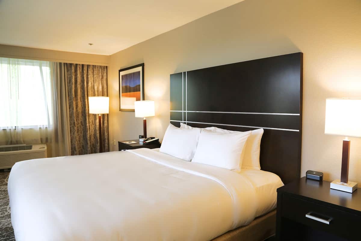 hypo-allergenic bedding, soundproofing, free cots/infant beds, free wifi