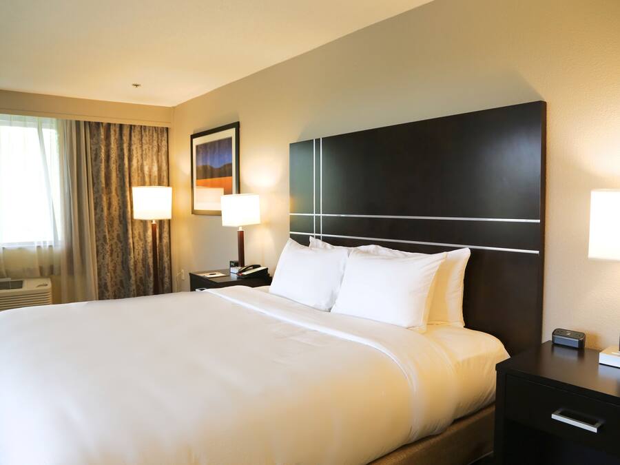 A hotel room with a large bed, two bedside tables with lamps, a framed picture on the wall, and a window with curtains.