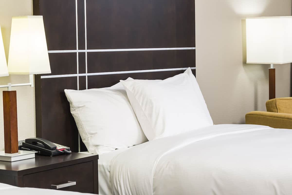 hypo-allergenic bedding, soundproofing, free cots/infant beds, free wifi