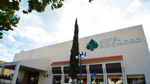 A hotel named Hotel Sicomoro with a modern facade, a prominent tree, and a clear sky.