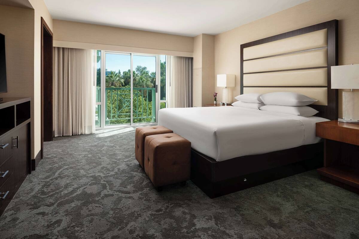 A hotel room with a large bed, a TV, a desk with a lamp, and a view of greenery through the window.