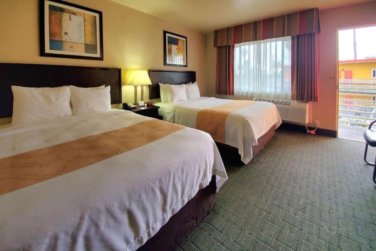 Une chambre d’hôtel avec deux lits, une table de chevet, une lampe, une fenêtre avec des rideaux et une vue sur l’extérieur.