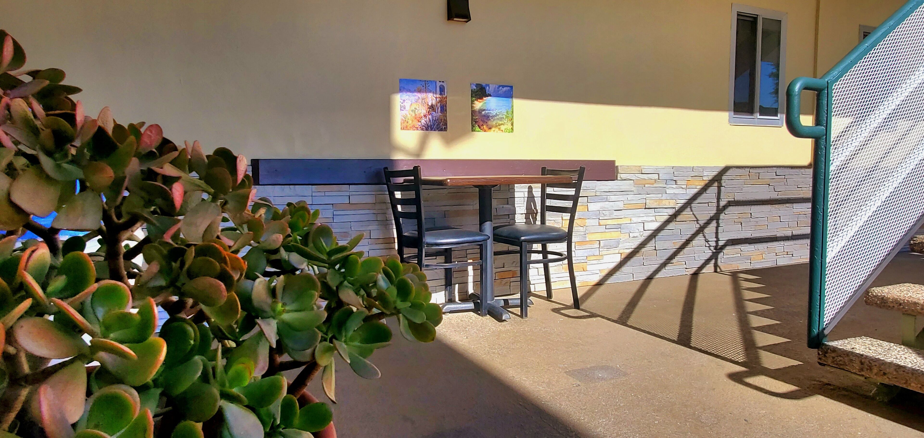 A patio area with a table and chairs, a potted plant, and a staircase.