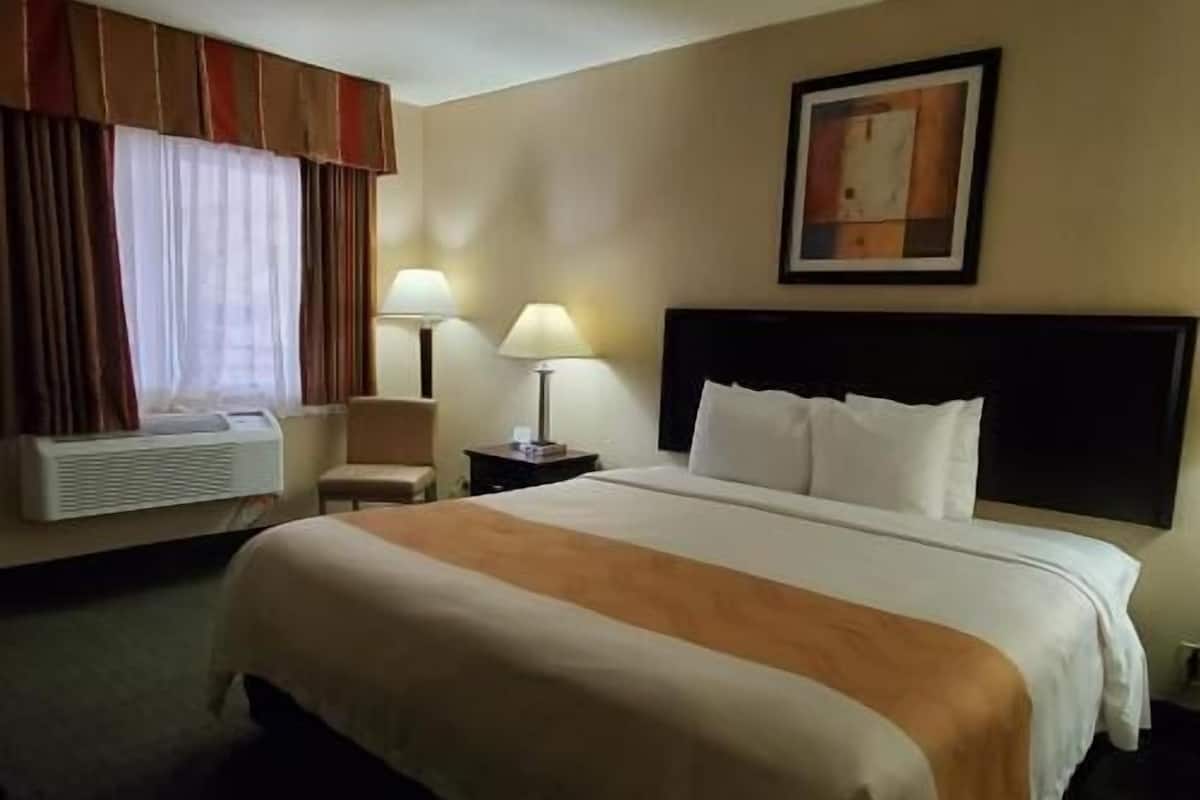 Une chambre d’hôtel avec un lit, deux lampes de chevet, une chaise, un appareil de climatisation et un tableau au mur.