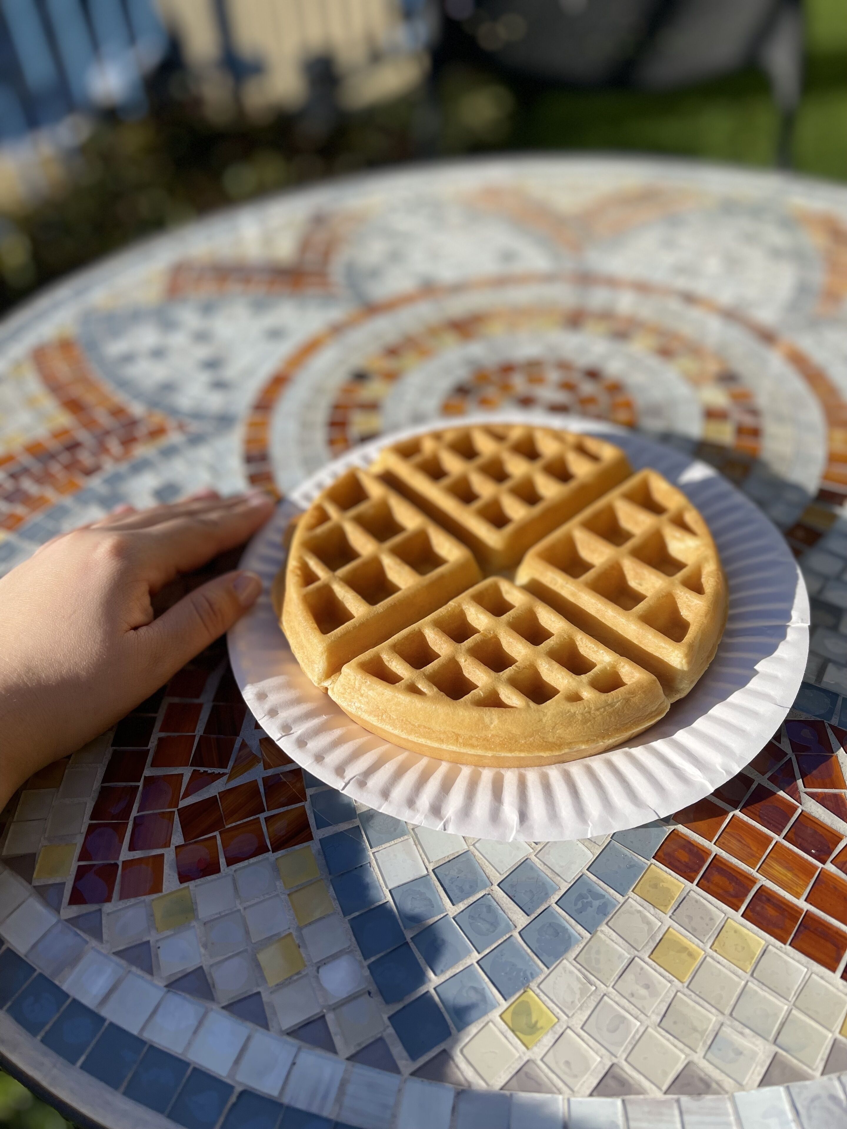 Photo - Quality Inn & Suites Anaheim at the Park