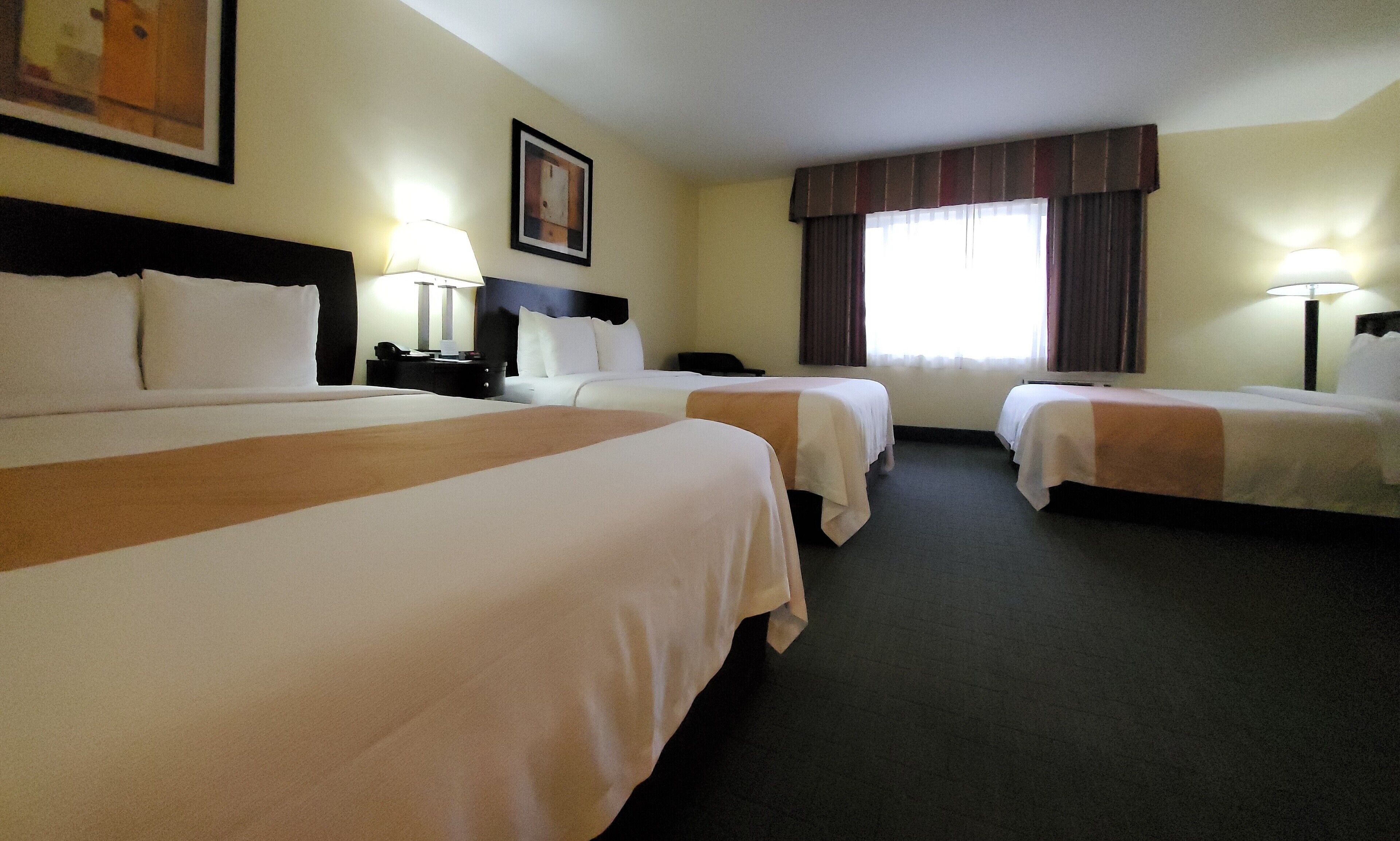 Photo - Quality Inn & Suites Anaheim at the Park