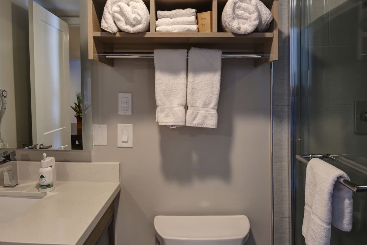 shower, free toiletries, hair dryer, towels