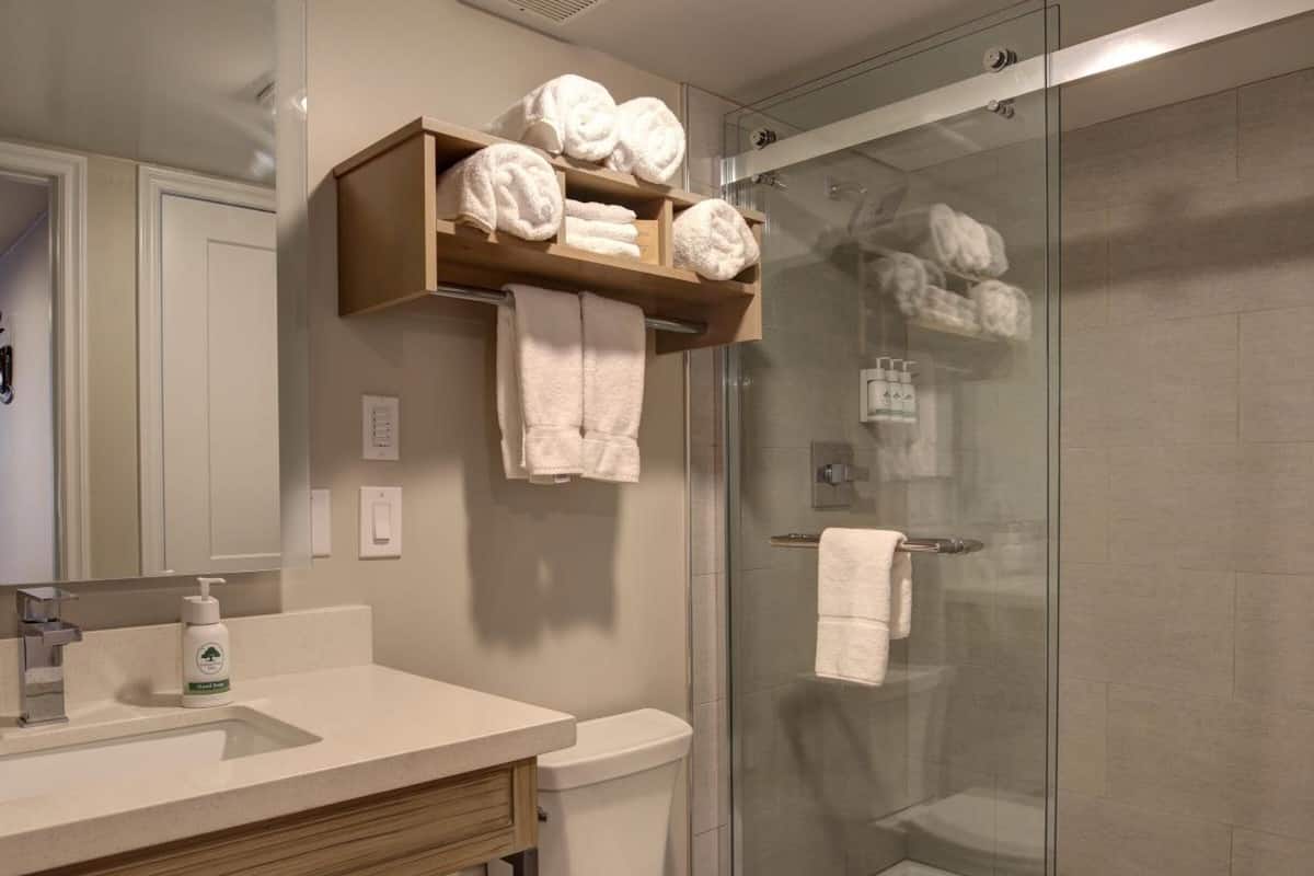 shower, free toiletries, hair dryer, towels