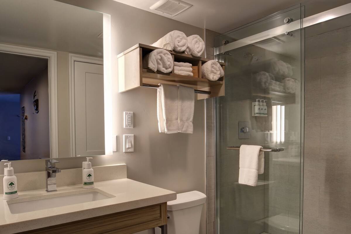 shower, free toiletries, hair dryer, towels