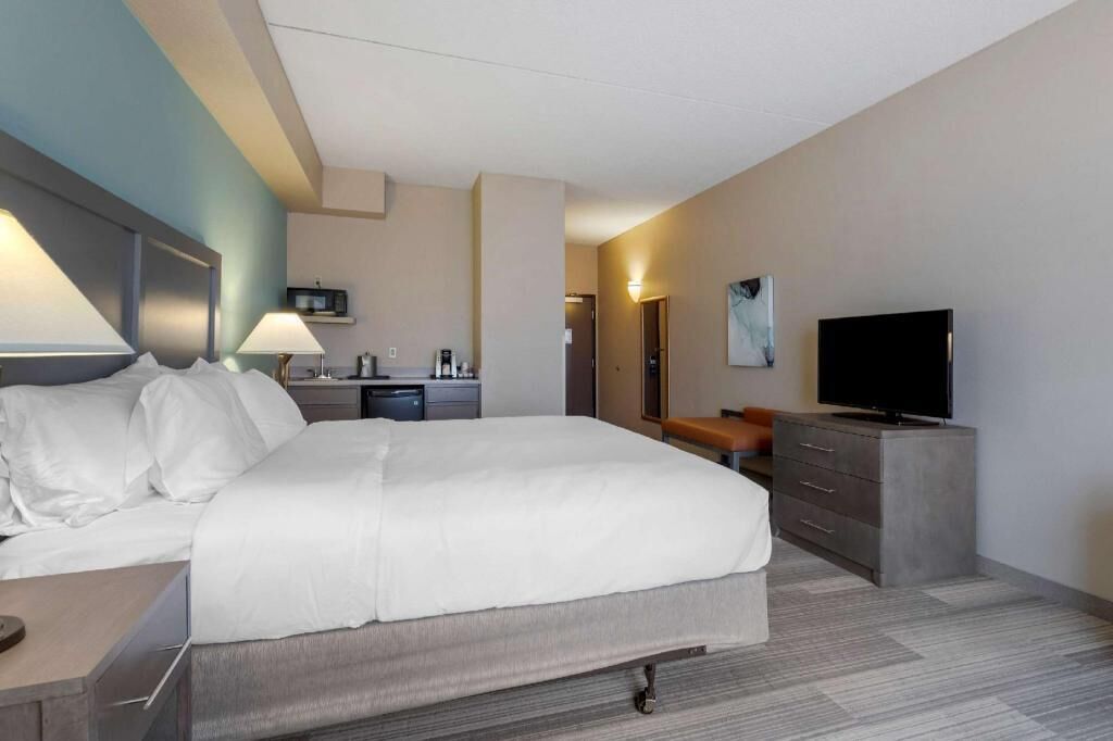 Sábanas de algodón egipcio, ropa de cama de alta calidad y edredón 