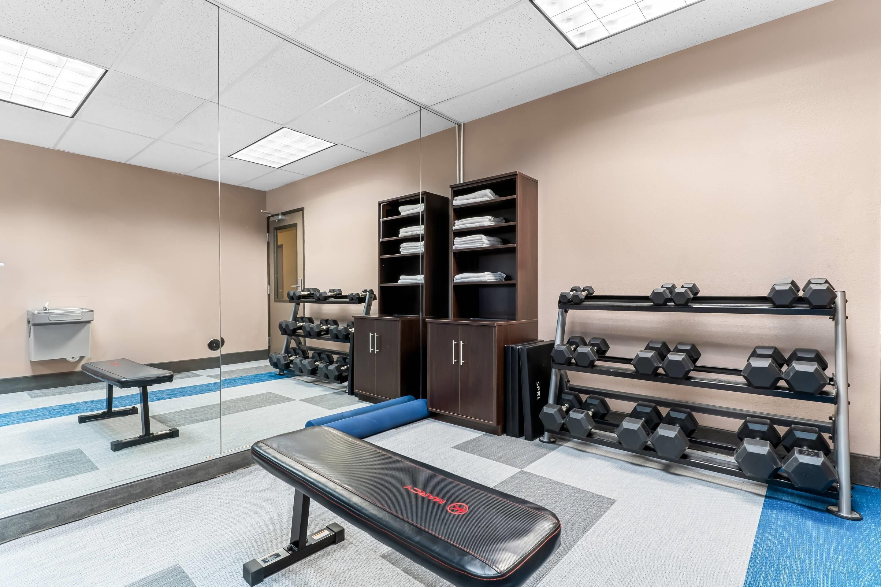 A gym with a bench, dumbbells, and weight racks.