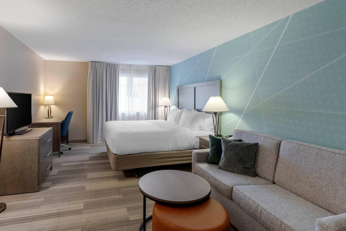 Standard Room, 1 King Bed with Sofa bed, Non Smoking