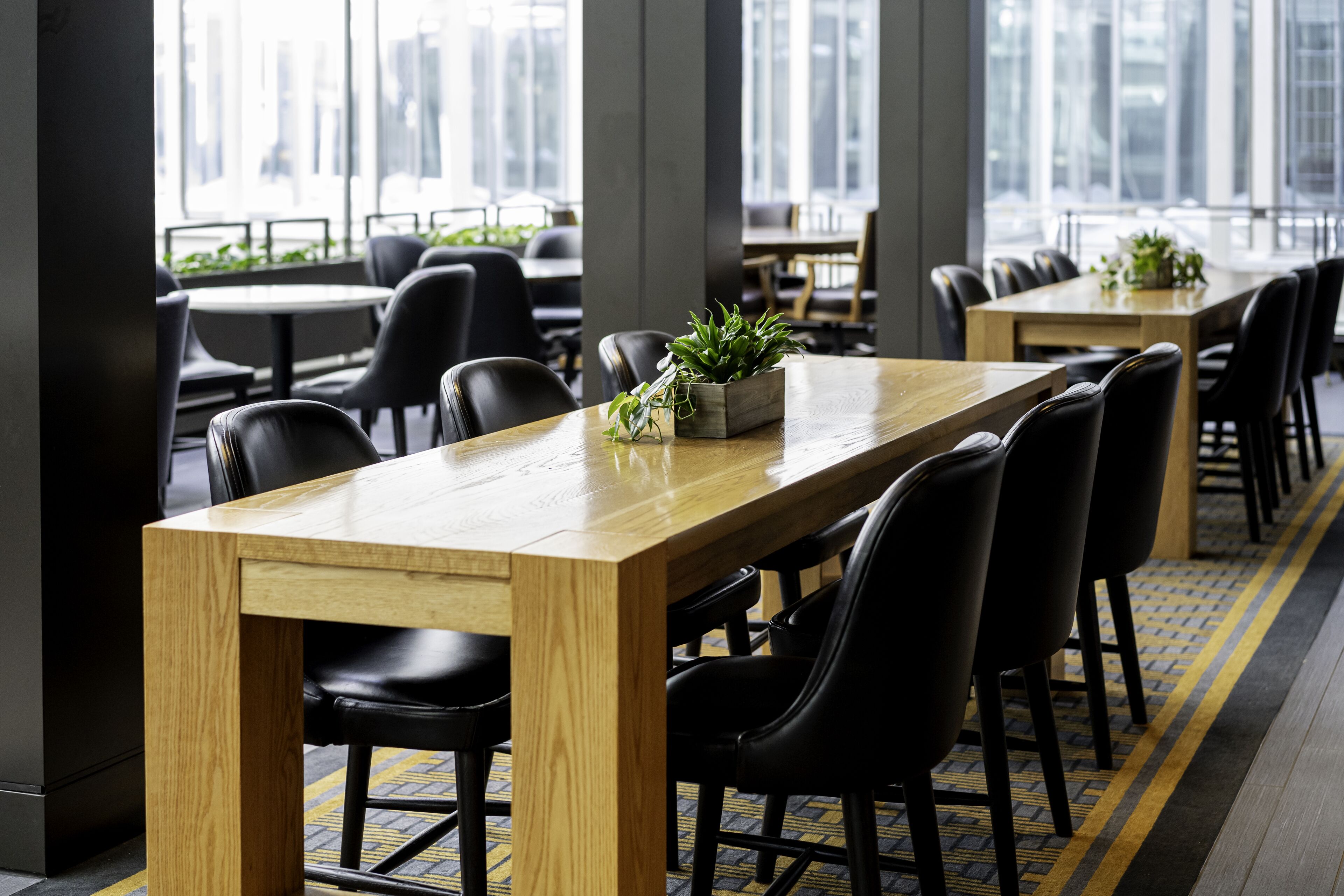 A modern conference room with a long wooden table, black chairs, and a potted plant on the table.