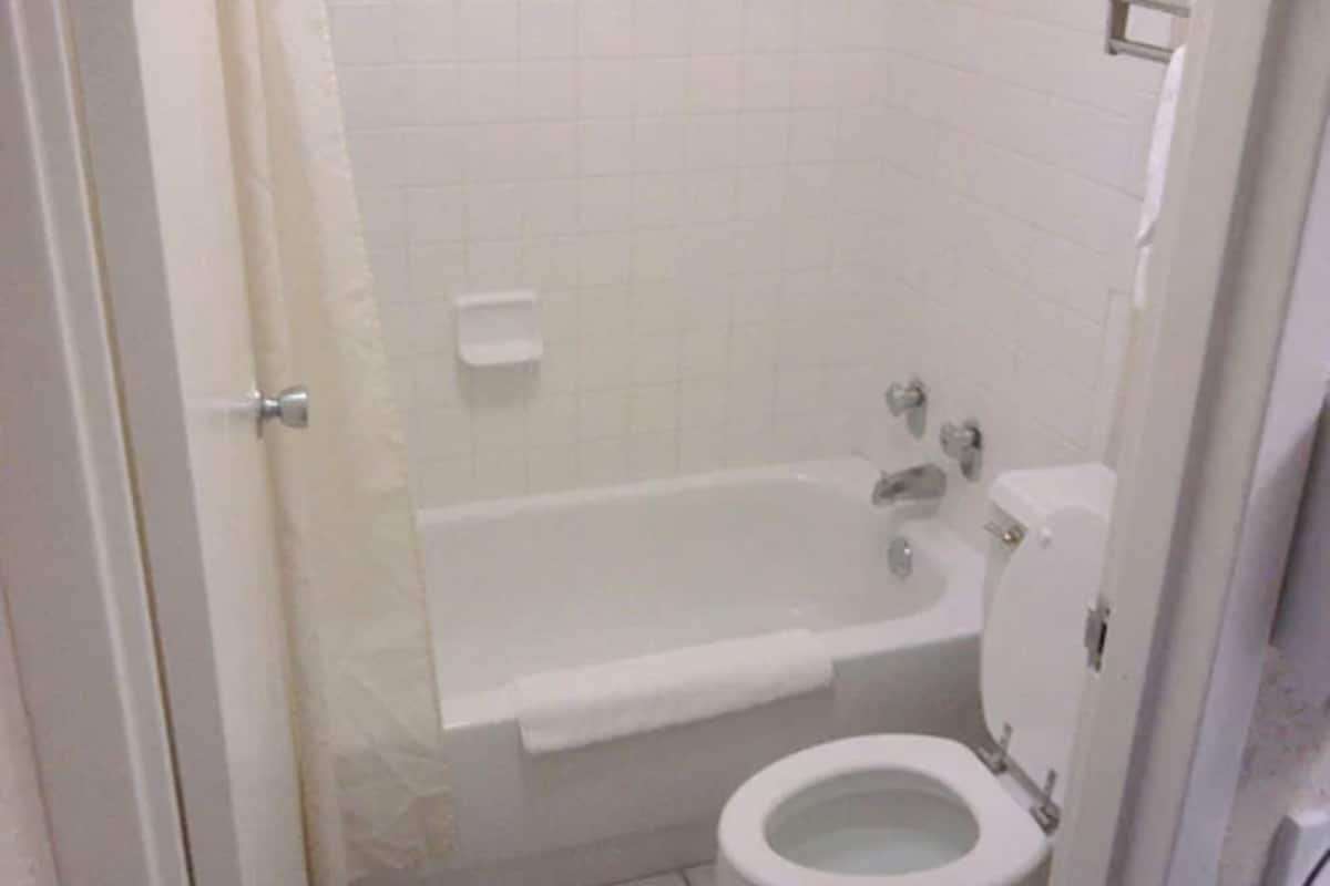 combined shower/bathtub, free toiletries, hair dryer, towels