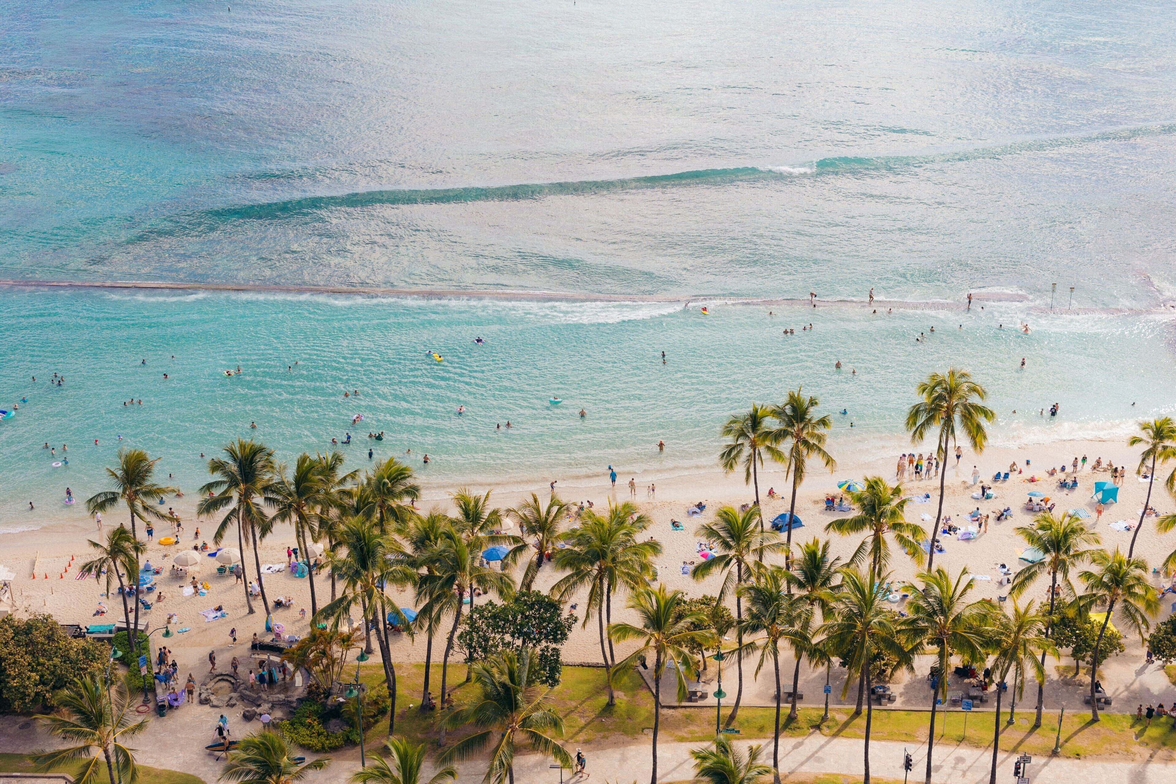 Ein Strand mit Palmen und Menschen, die schwimmen und sonnenbaden.