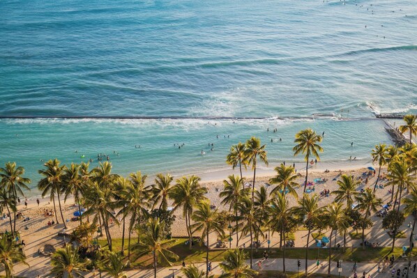 A beach with palm trees, people swimming, and a sandy shore.