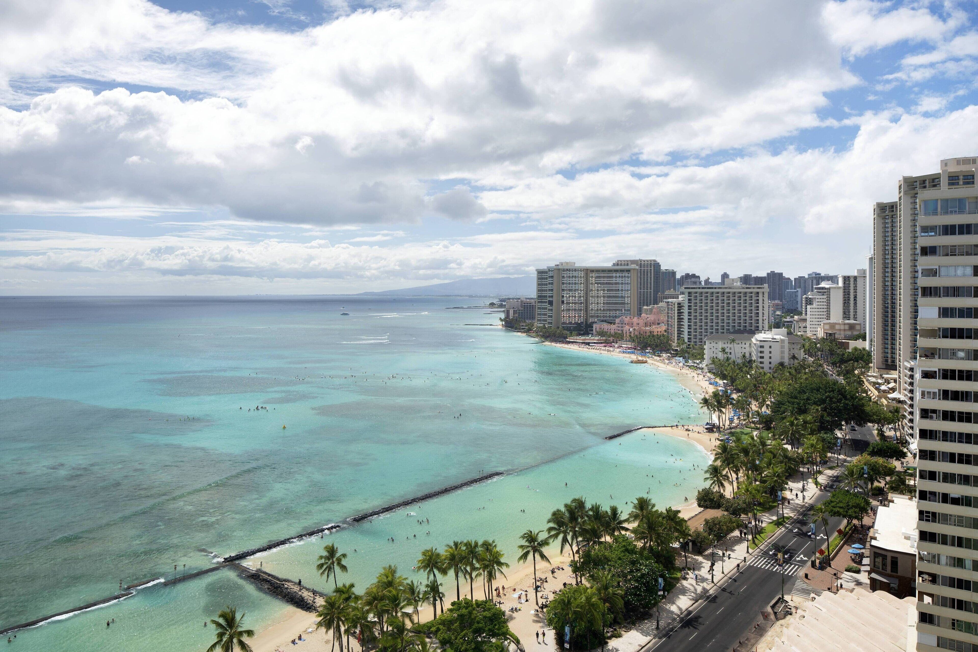 A coastal cityscape with a beach, palm trees, and high-rise buildings.