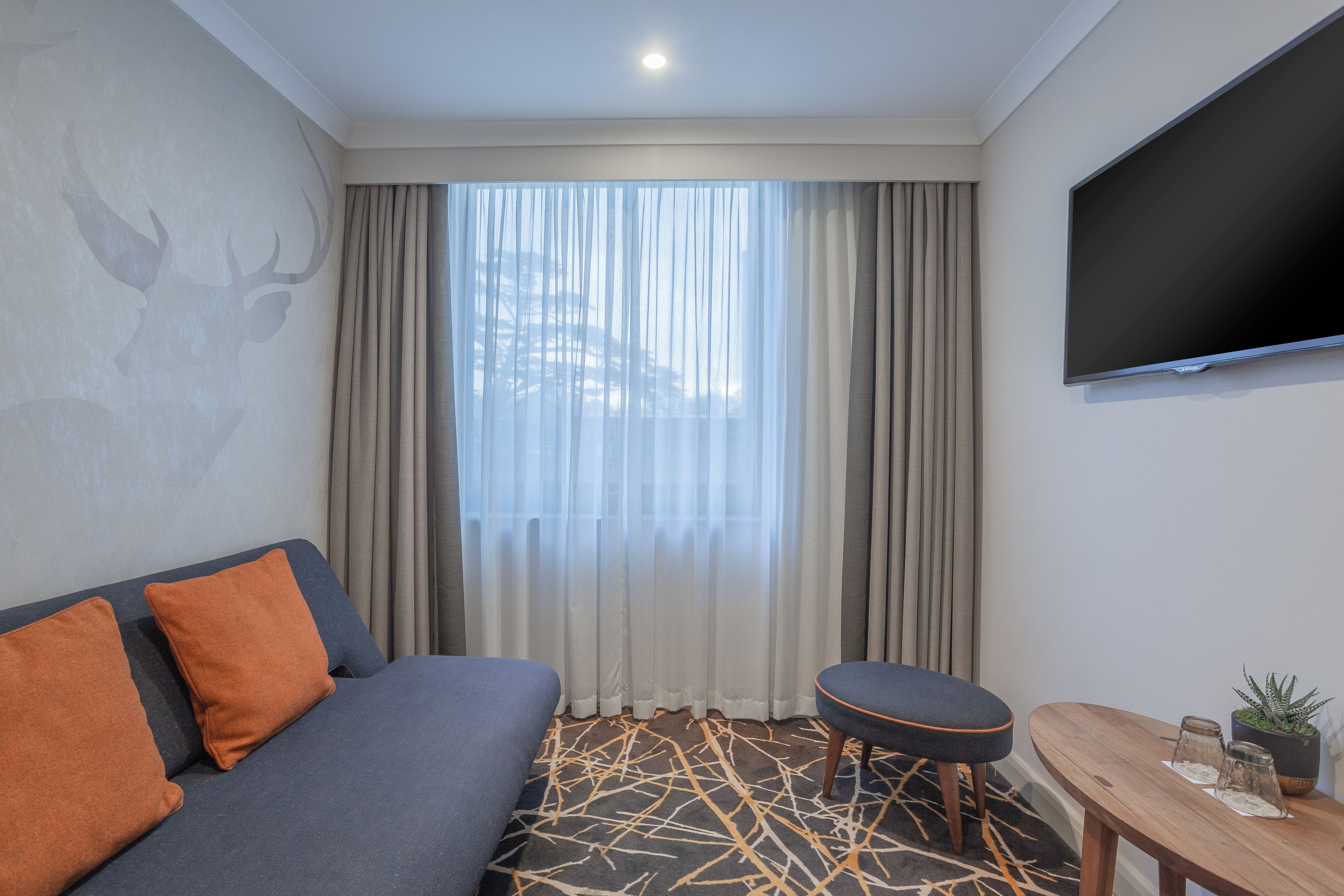 A modern hotel room with a sofa, a small table with a plant, a TV, and a window with curtains.