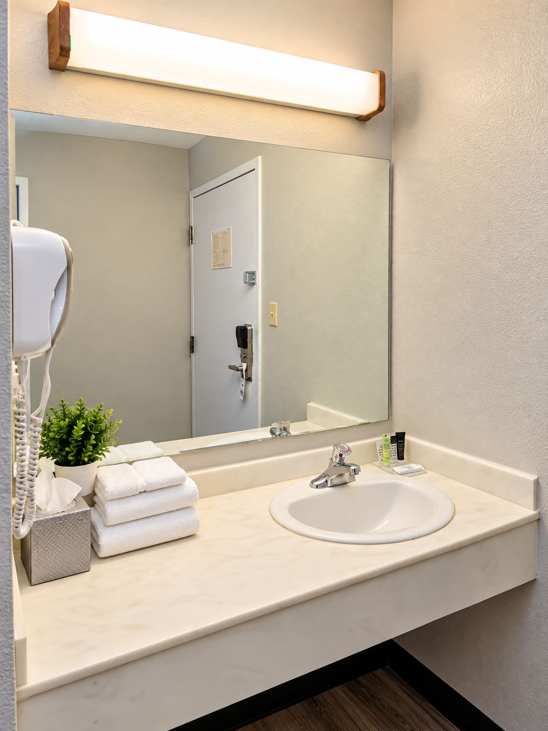 A bathroom with a white sink, a mirror, a towel dispenser, and a potted plant.