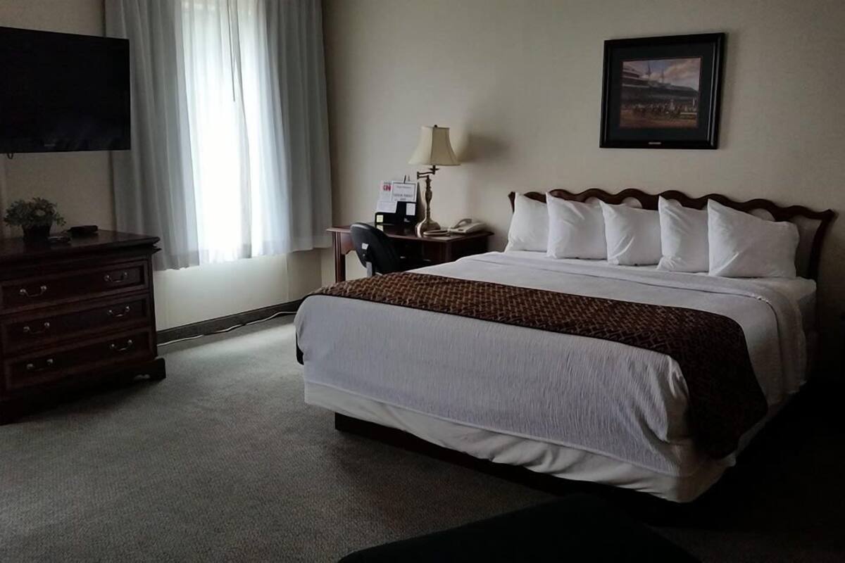 Habitación de hotel con una cama grande, un escritorio con lámpara, un televisor y un cuadro en la pared.