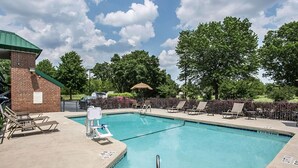 A rectangular swimming pool with a concrete deck, surrounded by lounge chairs and a brick building. - Quality Inn Hartsville (Hartsville)