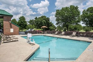 Seasonal outdoor pool, pool umbrellas, pool loungers