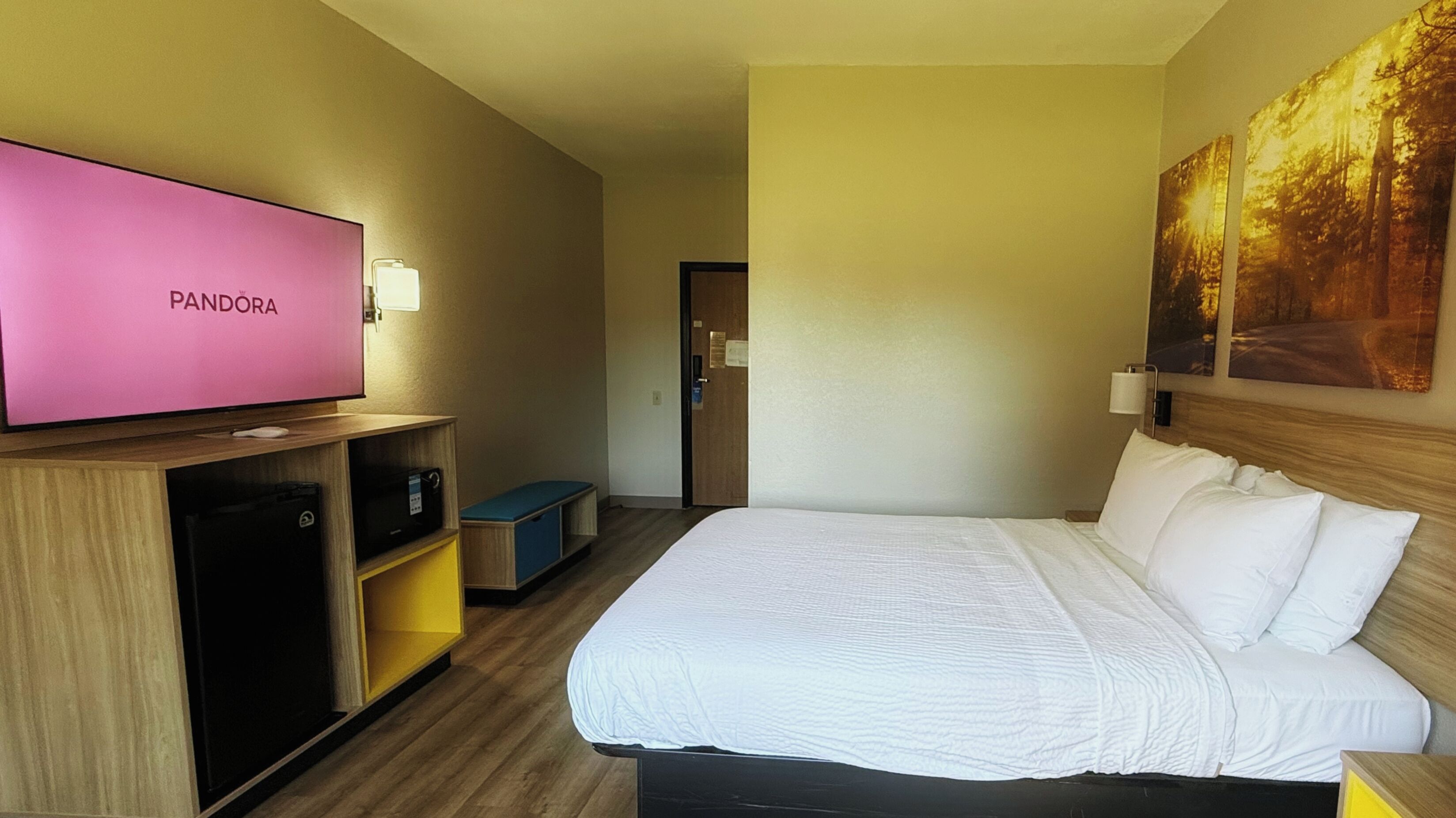 Una habitación de hotel con cama, televisión, un cuadro y un escritorio de madera.