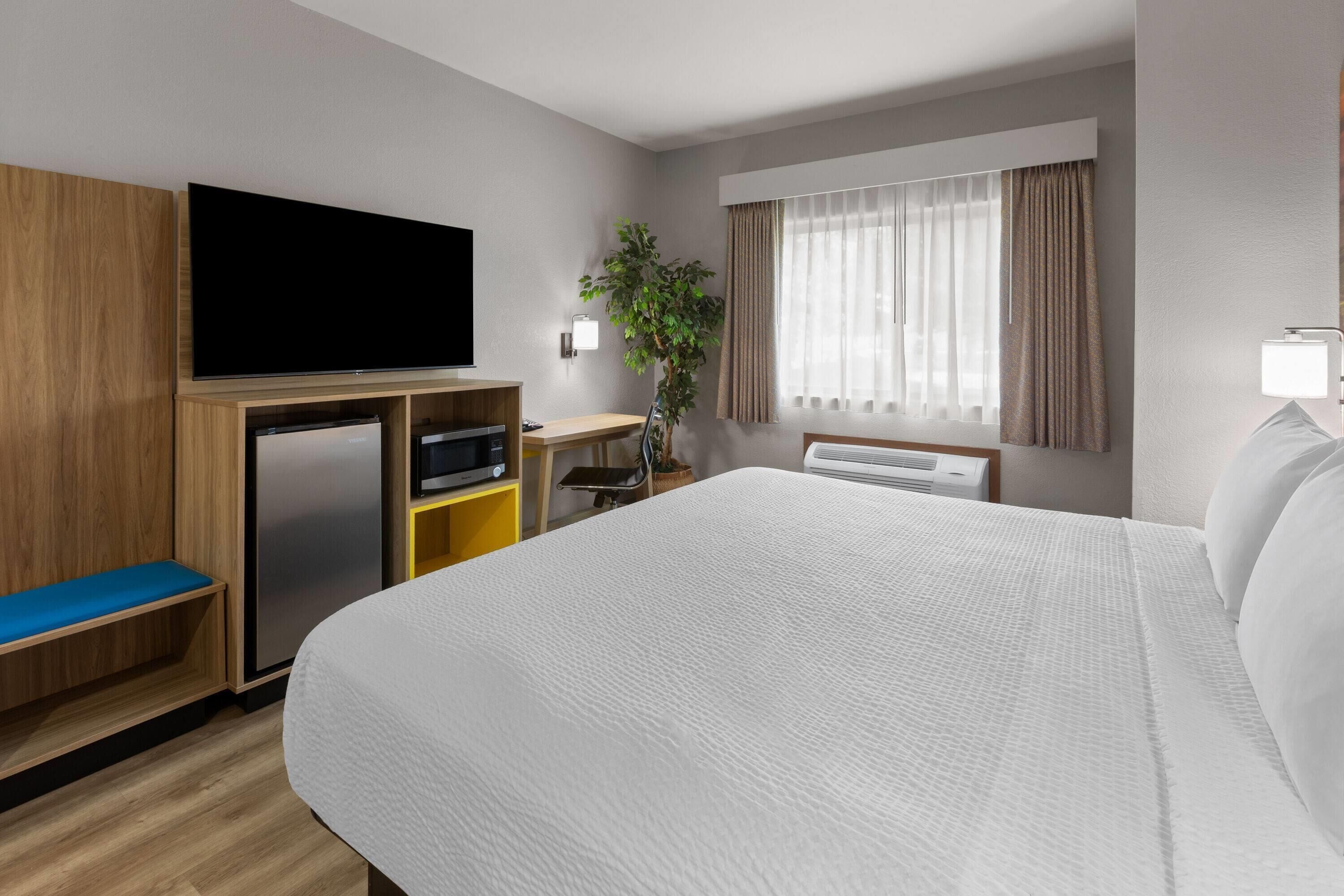 A hotel room with a bed, a television, a desk, a plant, and a window with curtains.