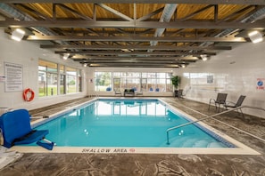 An indoor swimming pool with a clear view of the pool deck, a shallow area, and a lifebuoy. - Quality Inn & Conference Centre Kingston Central (Kingston)