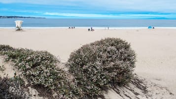 Una spiaggia nelle vicinanze