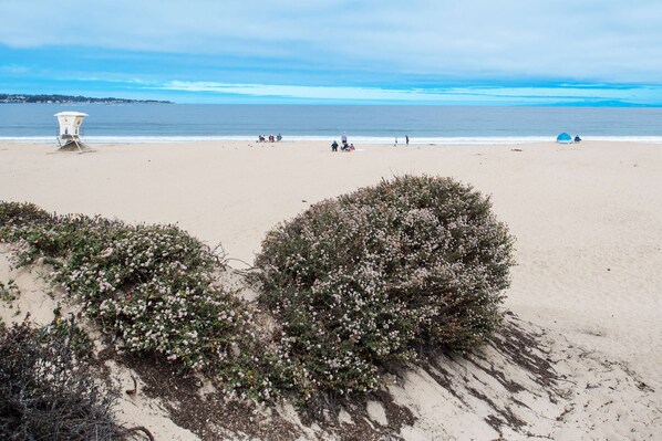 Una playa cerca