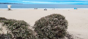 Hampton Inn Monterey