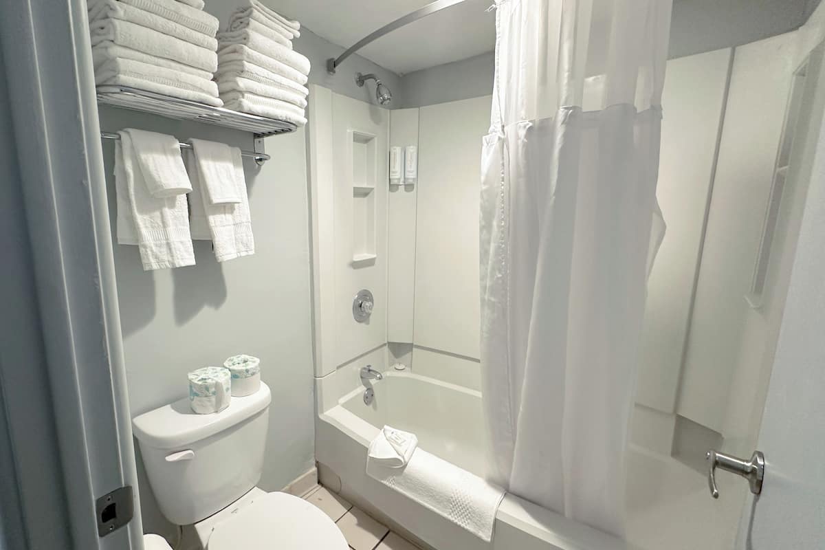 Een bad/douchecombinatie, milieuvriendelijk toiletgerief