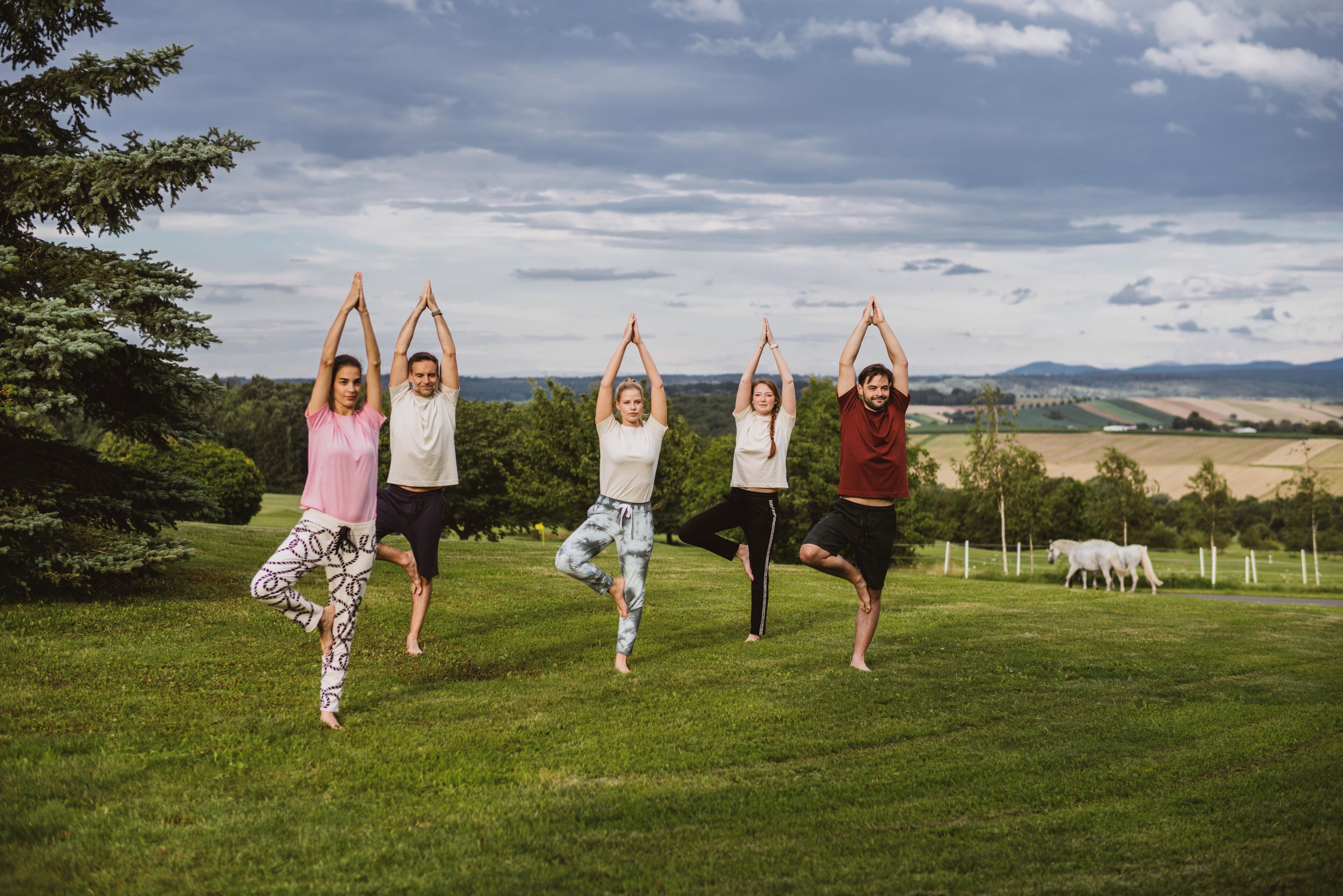 Un grupo de personas realizando una postura de yoga en un campo cubierto de hierba, con un paisaje pintoresco al fondo.
