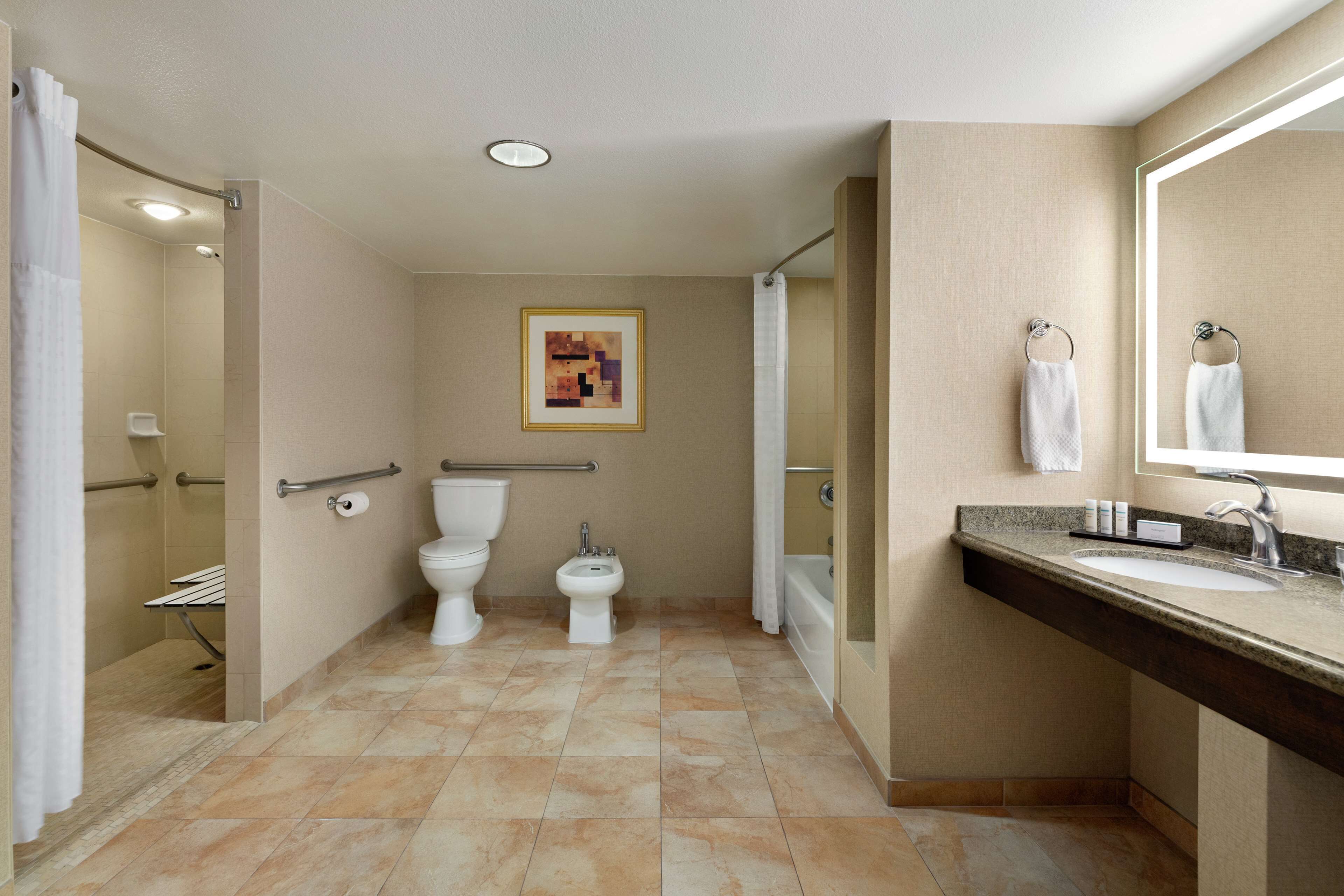 suite, 2 double beds, accessible (mobility & hearing, roll-in shower) | bathroom | combined shower/bathtub, designer toiletries, hair dryer, towels