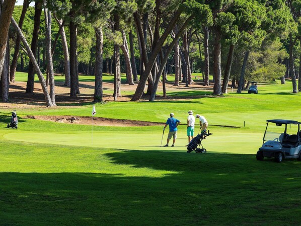 Un campo de golf con árboles, una bandera y golfistas.
