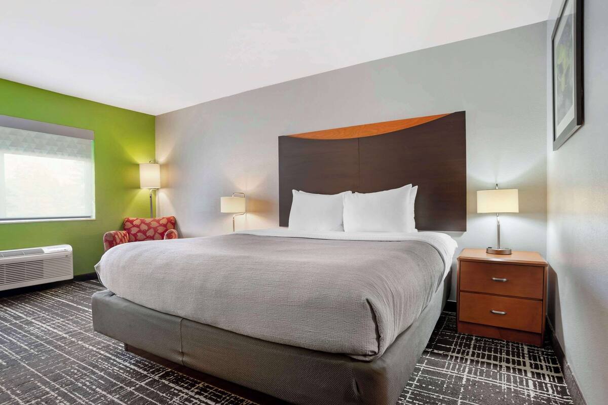 A hotel room with a large bed, two bedside tables with lamps, a green accent wall, and a window with blinds.