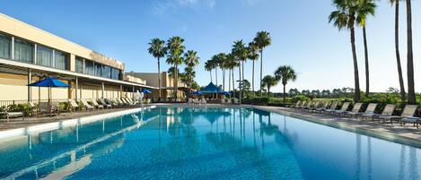 A swimming pool with lounge chairs and palm trees, surrounded by a building with large windows.