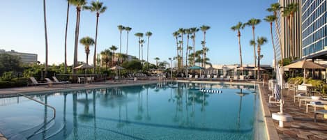 A swimming pool with lounge chairs and palm trees, surrounded by modern buildings.
