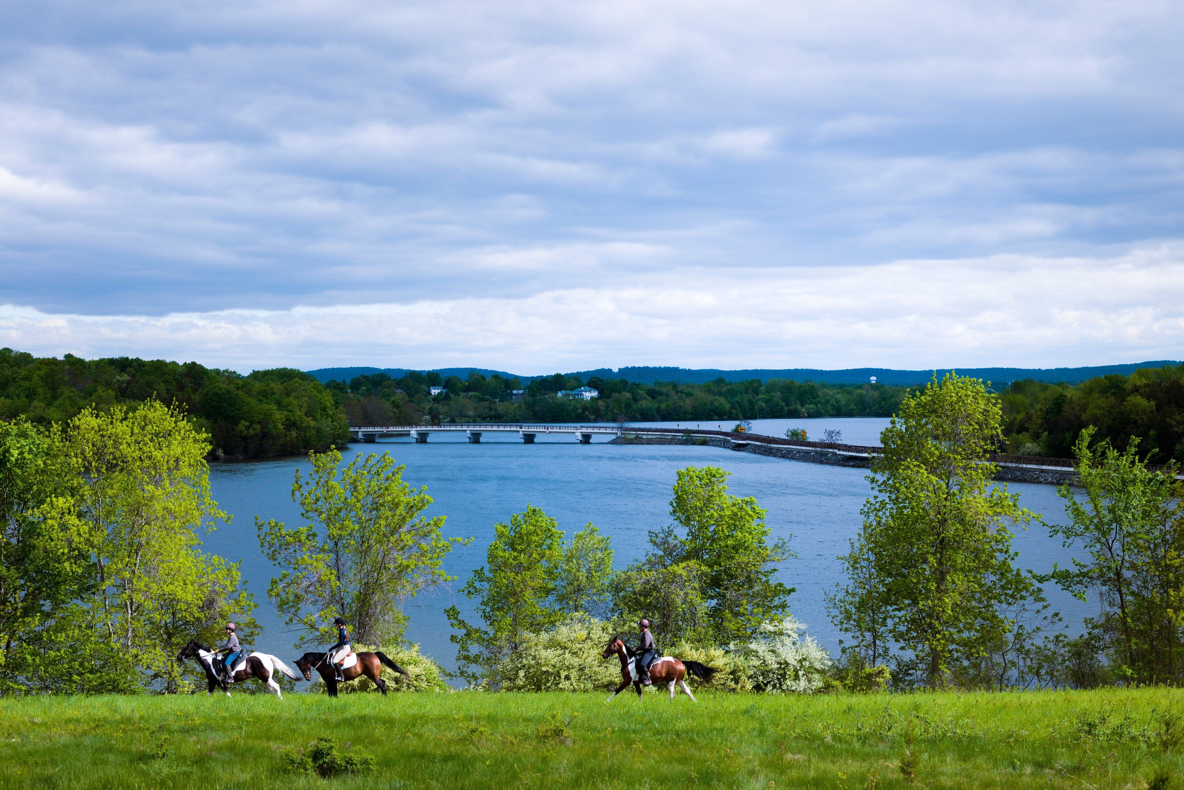 A river with a bridge, surrounded by greenery and horses.