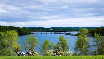 A river with a bridge, surrounded by greenery and horses.