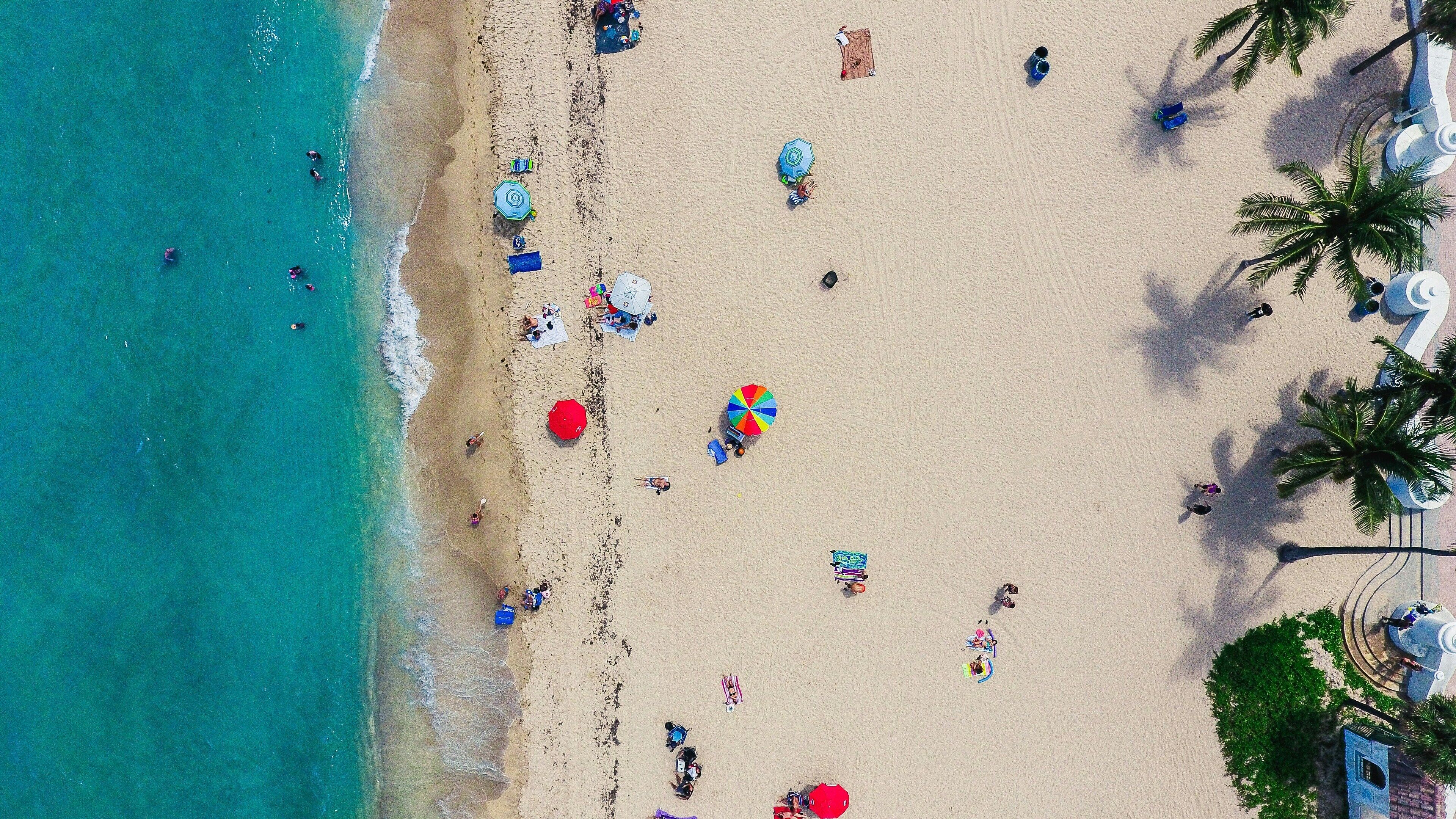 Vista aérea de una playa con gente, sombrillas y palmeras.