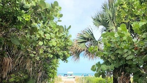 Un sentier en bois mène à une plage, bordée de chaque côté d’une végétation luxuriante.