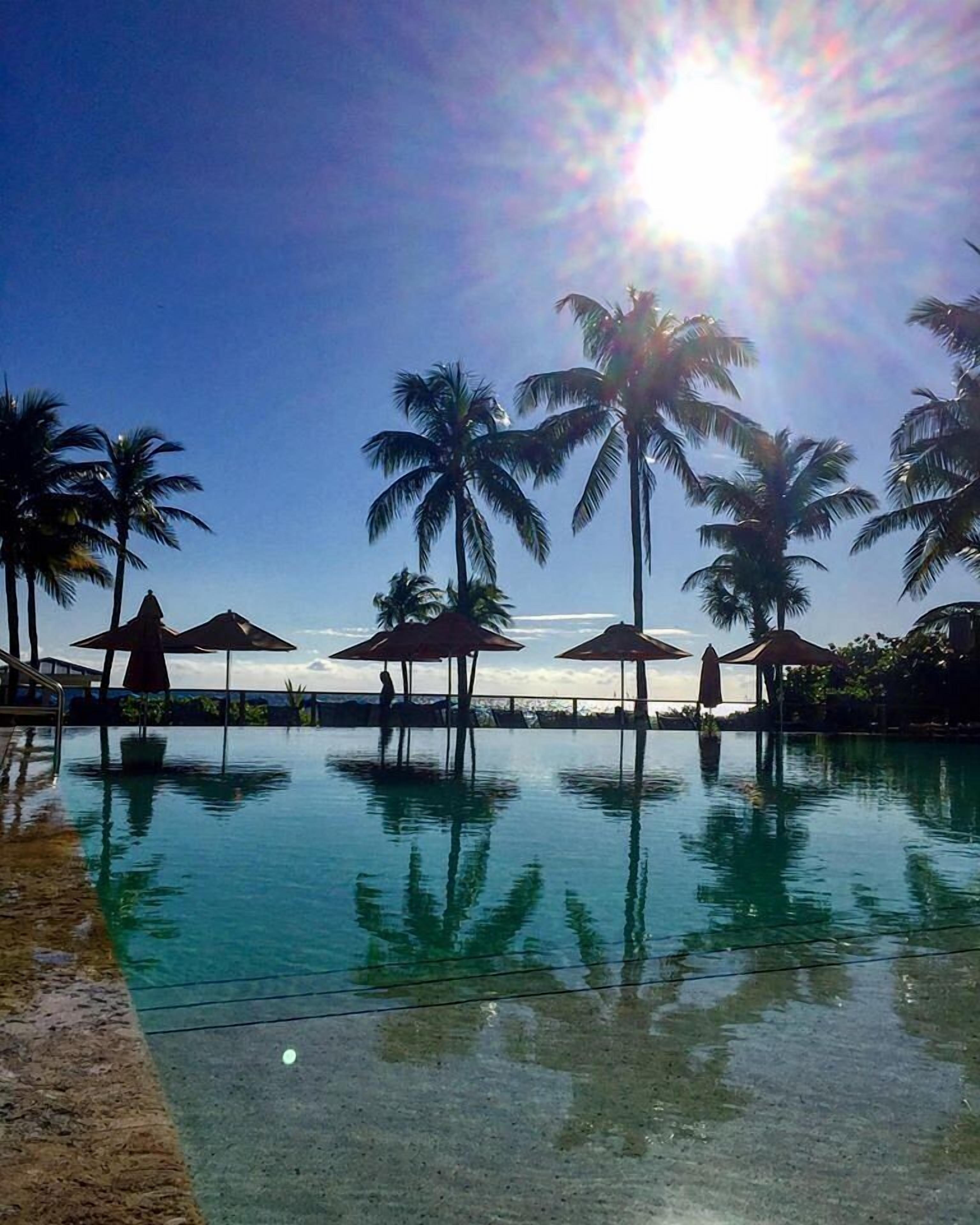 A swimming pool with palm trees and umbrellas, surrounded by a fence.